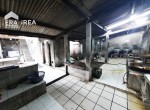 19531ef3-90f8-4ed4-804d-52ff3a7c1cbe.jpg