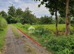 213-Lia-Imelda-Jual-Tanah-Tempelrejo-Mondokan-Sragen-Rp-16M.jpeg