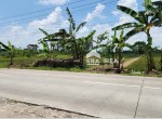 330-LIA-IMELDA-JUAL-TANAH-Kepanjen-Delanggu-Klaten-Rp-275-Jt-per-m2.jpeg