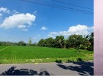 393-hendryk-jambanan-sidoharjo-sragen-crop.jpg
