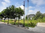 41f70dd7-b7db-4d67-b33d-8dcd01c8d727.jpg