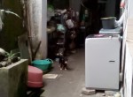 65c29caf-9026-4626-8842-200670945e94.jpg