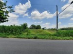7ac0a058-d2e9-46d1-bbee-d270fe750a07.jpg