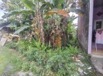 8a10dea1-eed4-4f08-b294-7a53a8f0a3a8.jpg