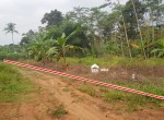 Depan-4.jpeg