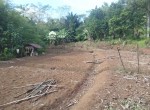 FOTO-3.jpg