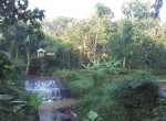 FOTO-5.jpg