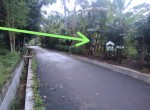 FOTO-6.jpg