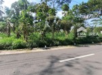 c86be983-b798-4dd0-bb8a-e6deddf8afe6.jpg