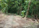 eka-tanah-pajangan-1.jpeg