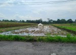tanah-jl-kapten-haryadi.jpeg