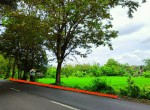 tanah-jl-kebon-agung.jpeg