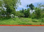 tanah-kemudo-prambanan-klaten.jpeg