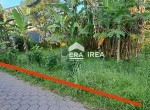 tanah-madurejo-prambanan.jpeg