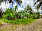 tanah-minggir-sleman.jpeg