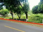 tanah-nitikan-wonosari.jpeg