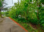 tanah-pengasih-kulonprogo.jpeg