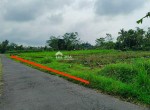 tanah-purwobinangun.jpeg