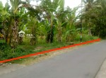 tanah-sayegan-sleman-1025m.jpeg