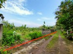 tanah-sentolo.jpeg
