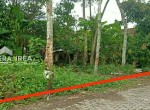 tanah-tirtomartani-kalasan-1.jpeg