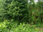 tanah-tirtomartani-kalasan-6.jpeg