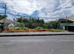 028 SELVI TANAH TELUKAN GROGOL SUKOHARJO