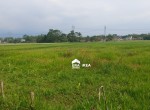 Depan