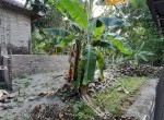 IMG-20231230-WA0054