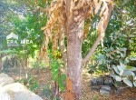 IMG-20240115-WA0066