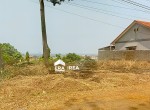 Depan