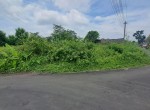 WhatsApp Image 2024-01-13 at 10.04.52