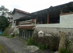 rumah gg wuni