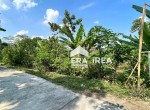 dijual-tanah-di-boyolali