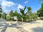 jual-tanah-di-boyolali-ampel