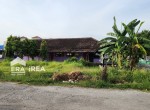 tanah-dijual-di-klaten