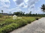 tanah-jogja-dijual