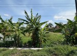 tanah-murah-di-karanganyar