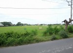 Lahan Baki 1 (2)