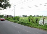 Lahan Baki 1 (5)