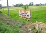 Lahan Baki 2 (3)
