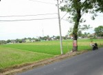 Lahan Baki 2 (4)