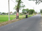 Lahan Baki 2 (5)
