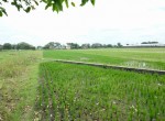 Lahan Baki 2 (6)