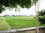 Lahan Baki 2 (7)