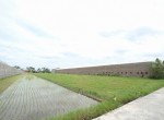 Lahan Trangsan (6)