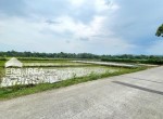 ual-beli-tanah-di-boyolali