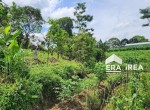 jual-tanah-di-karanganyar