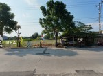 tanah-murah-disewakan