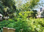jual-beli-tanah-solo-raya